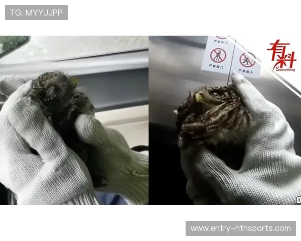 Gnar怒气一满拍墙，三人撞晕直接结束